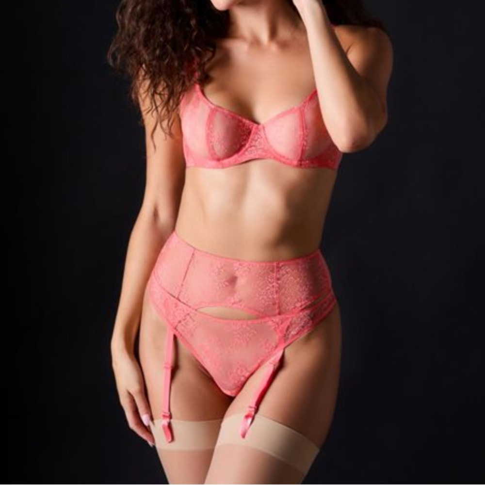 NWT Journelle Romy Demi bra, thong, bikini, & suspender belt Size 36D and large.